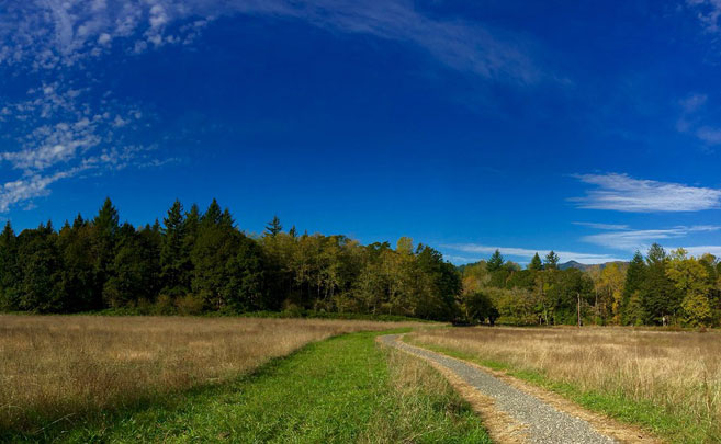 Sams Walker Loop Trail